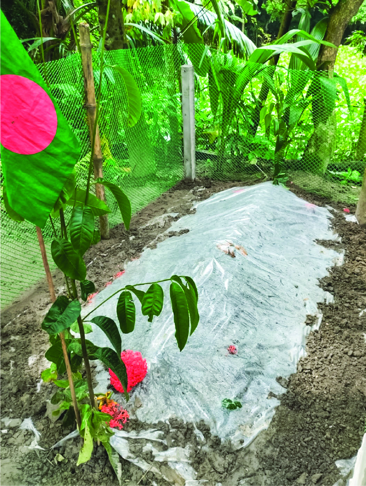 Image of মো: মনিরুজ্জামান মোল্লা